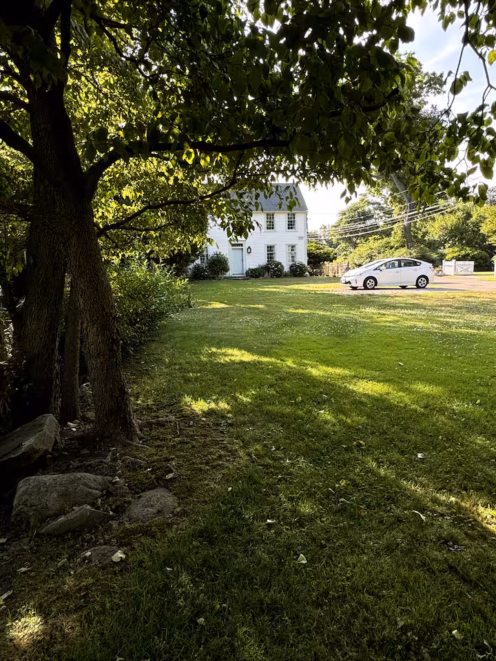 Beautiful garden and entrance